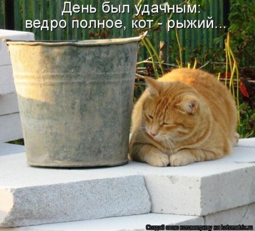 [1301017723_kotomatrix-12%255B3%255D.jpg]