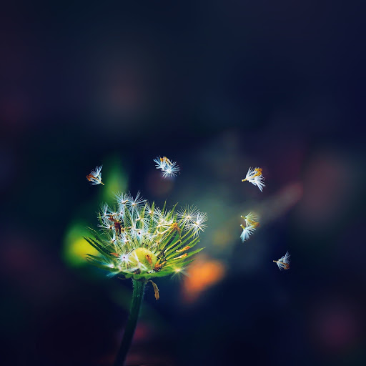 Hd-143257-ascw143257