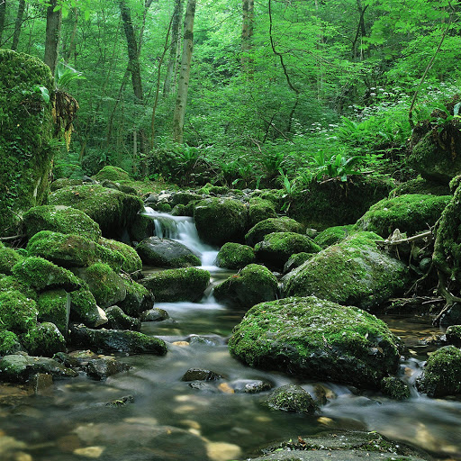 Hd-145109-ascw145109