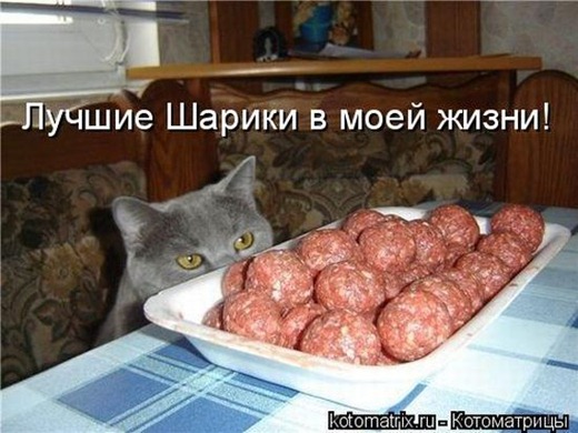 [clip_image031%255B3%255D.jpg]