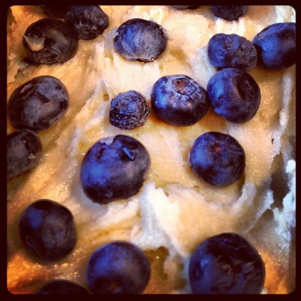 [1-blueberry-loaf-cake4.jpg]