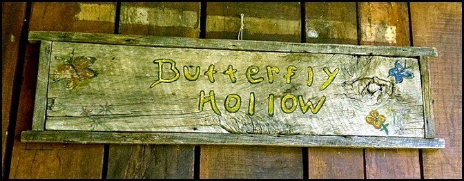 08 - Butterfly Hollow Sign