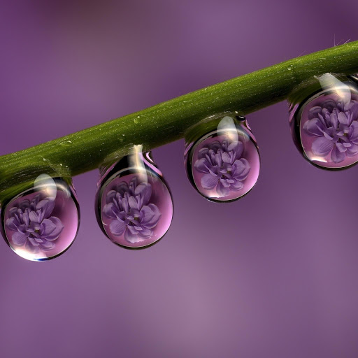 Hd-133173-ascw133173