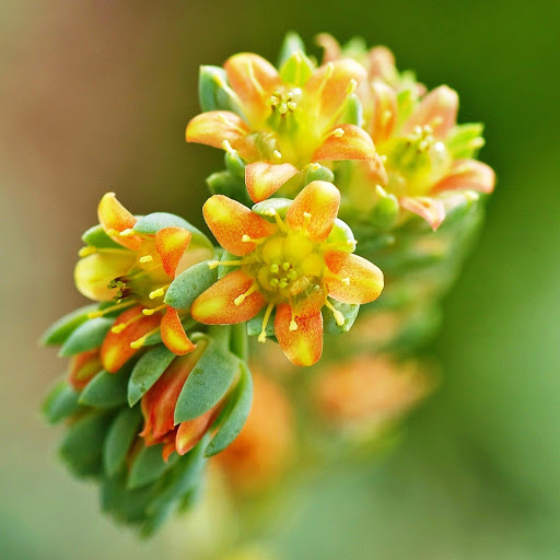 Hd-158578-ascw158578