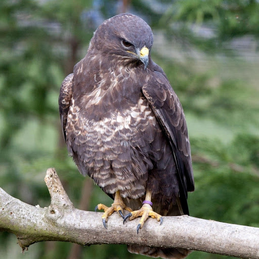 Hd-135865-ascw135865