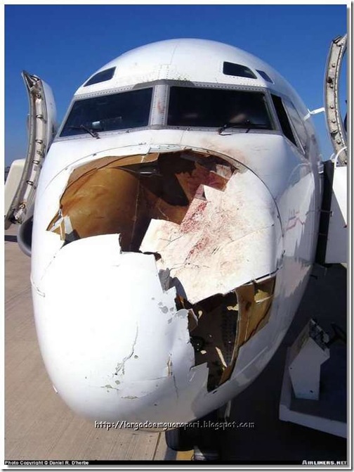 avião acidente (4)