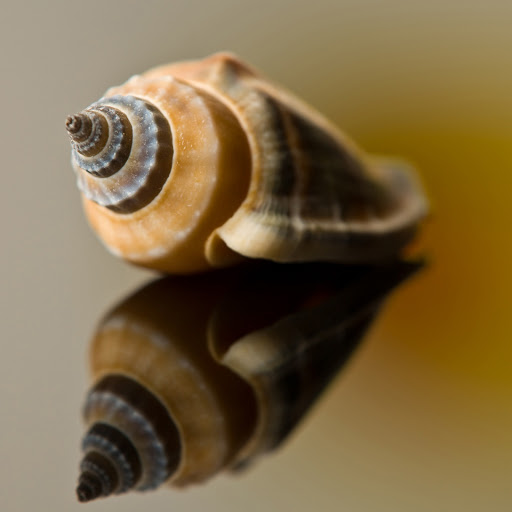 Hd-153489-ascw153489