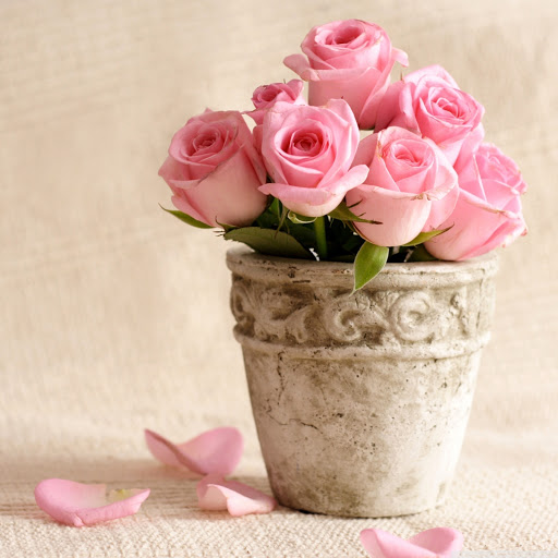 Hd-167620-ascw167620