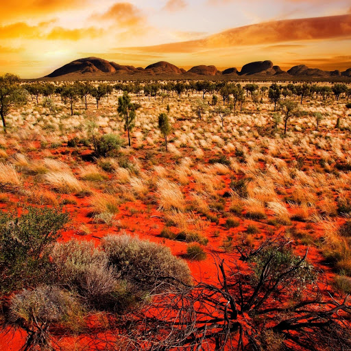 Hd-190525-ascw190525