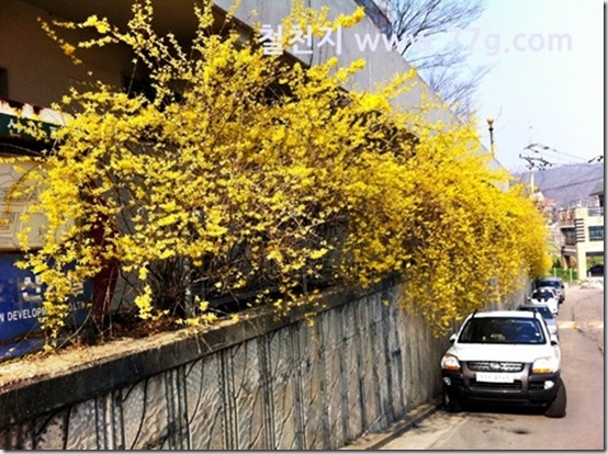 철천지IMG_3944