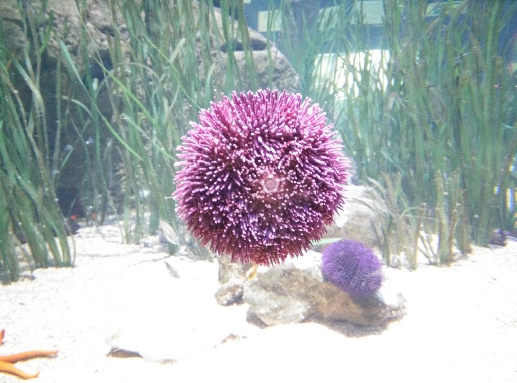 [IMG_20150219_132026%255B4%255D.jpg]