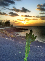 Lanzarote 2011 - - 118