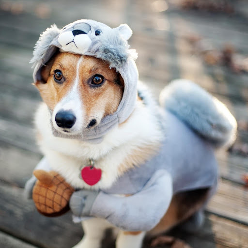 Hd-176113-ascw176113