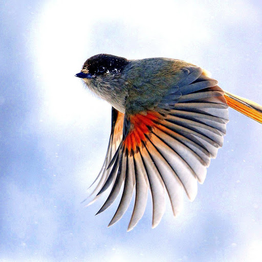 Hd-141348-ascw141348