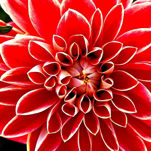 Hd-138896-ascw138896