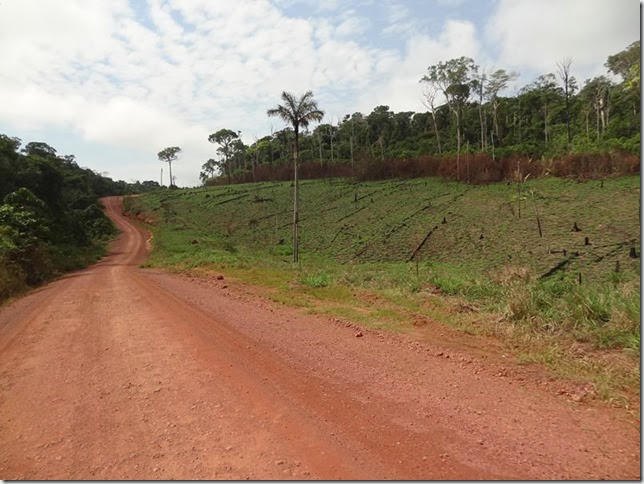 Transamazonica_DSC09722