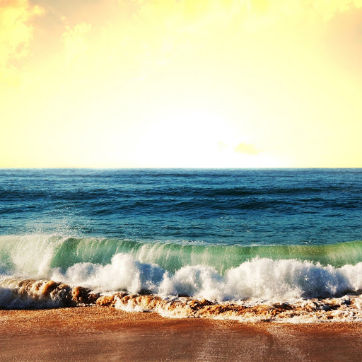 Hd-180501-ascw180501