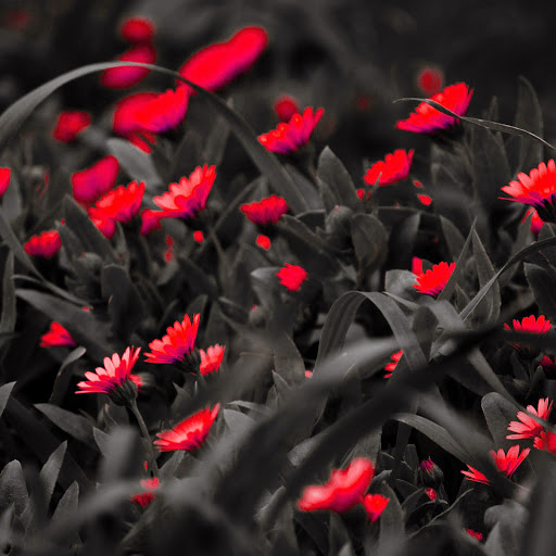 Hd-163657-ascw163657