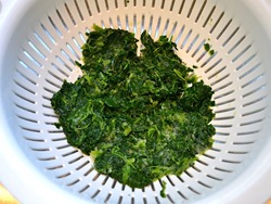 1 drain spinach02