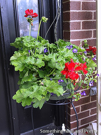 Front Porch 2 007