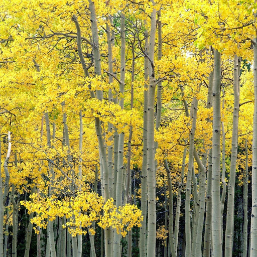 Hd-143955-ascw143955