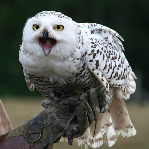 Hd-182494-ascw182494