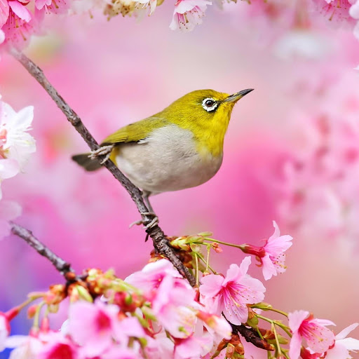 Hd-143069-ascw143069