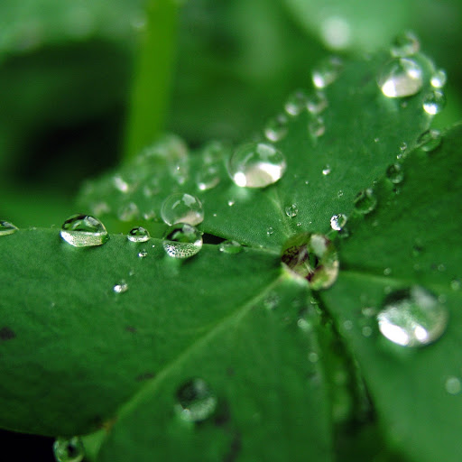 Hd-146478-ascw146478