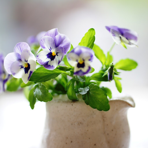 Hd-164343-ascw164343