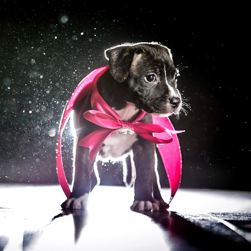 Hd-136643-ascw136643