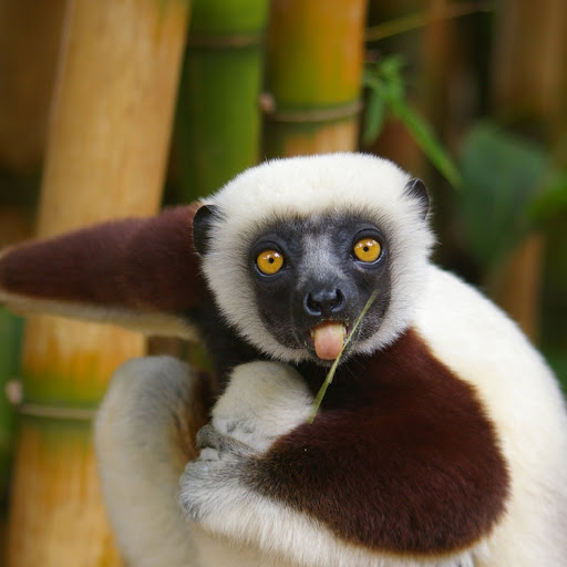 Hd-180379-ascw180379