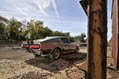 Eleanor-Mustang-5