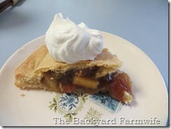 Apple Raisin Pie - The Backyard Farmwife