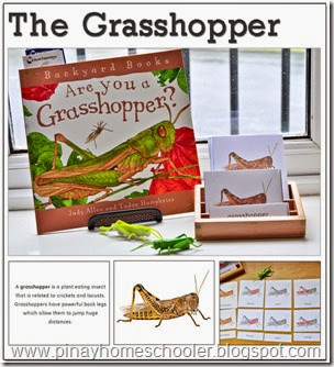 The Grasshopper Learning Pack