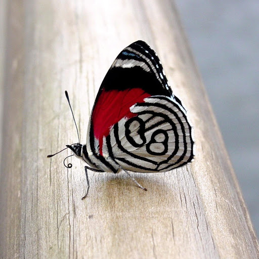 Hd-179166-ascw179166