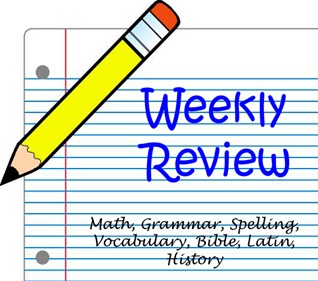 weekly review graphic 2