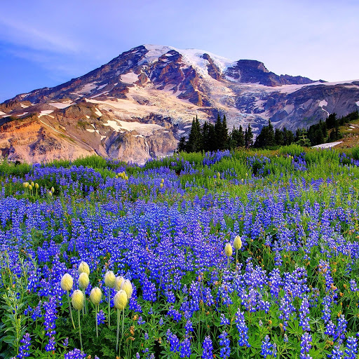 Hd-151560-ascw151560