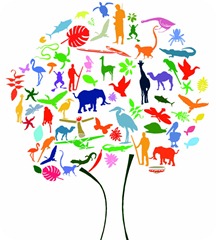 biodiversita biodiversita