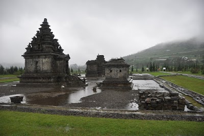 DSC_0573.JPG