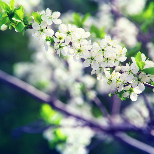 Hd-172128-ascw172128