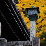 東大寺・紅葉(PK3_0280,85mm,F6.3,K3)2014yaotomi_.jpg