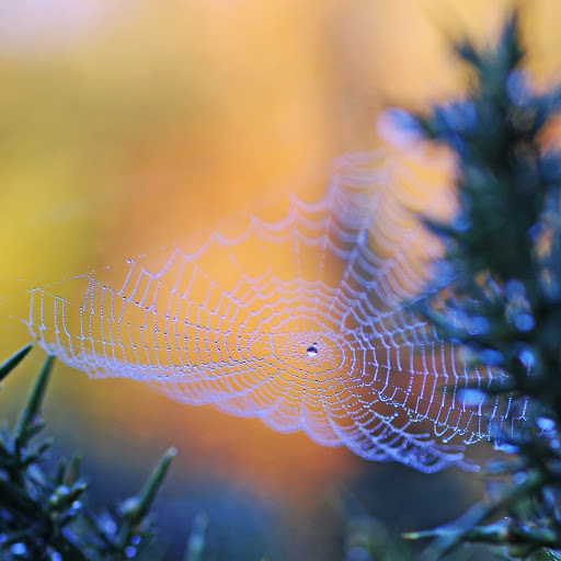 Hd-174690-ascw174690