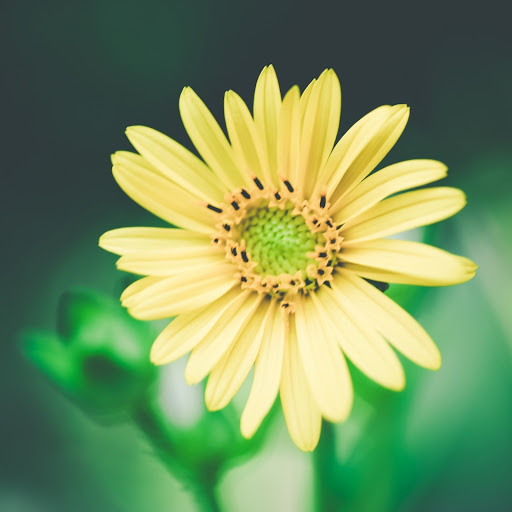 Hd-183940-ascw183940