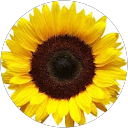 Google Reviews - What Customers are Saying 18 Google Reviews - What Customers are Saying Google Reviews - What Customers are Saying Google Reviews - What Customers are Saying