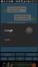 Pro Interpreter-Translator poster 4