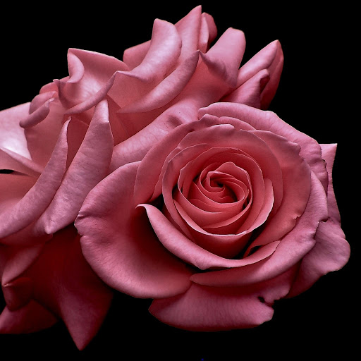 Hd-177303-ascw177303