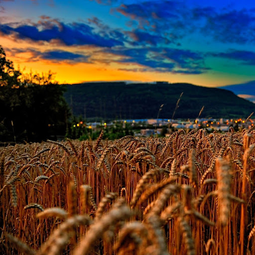 Hd-164272-ascw164272