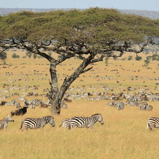 Hd-161704-ascw161704