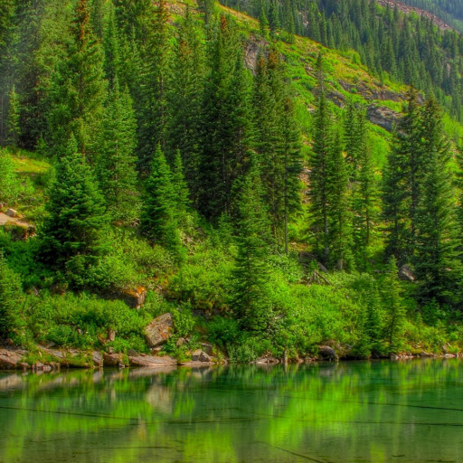 Hd-146530-ascw146530