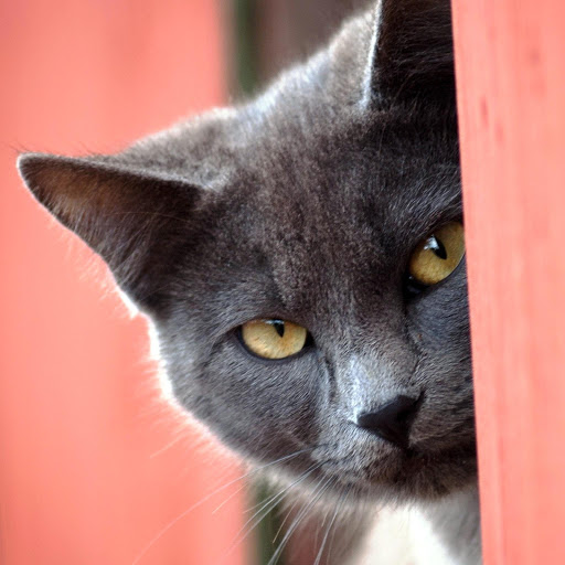 Hd-174924-ascw174924